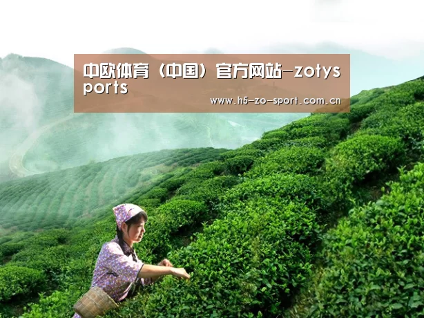中欧体育（中国）官方网站-zotysports