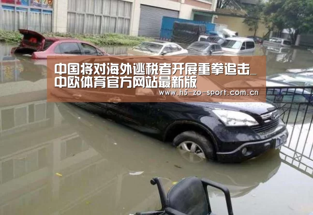中欧体育app官方下载