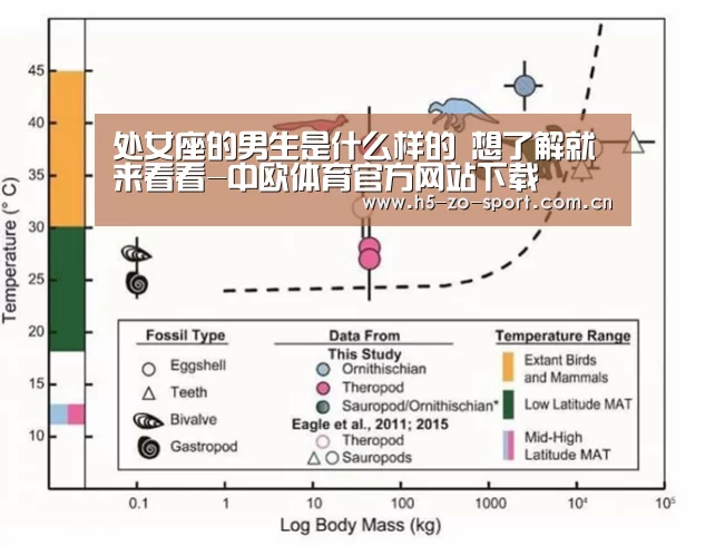 中欧体育官网登录入口