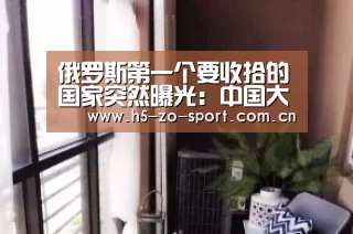 中欧体育官方网站最新版