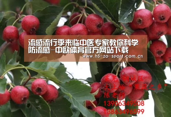 流感流行季来临中医专家教你科学防流感-中欧体育官方网站下载(图1) 中欧体育官方网站下载